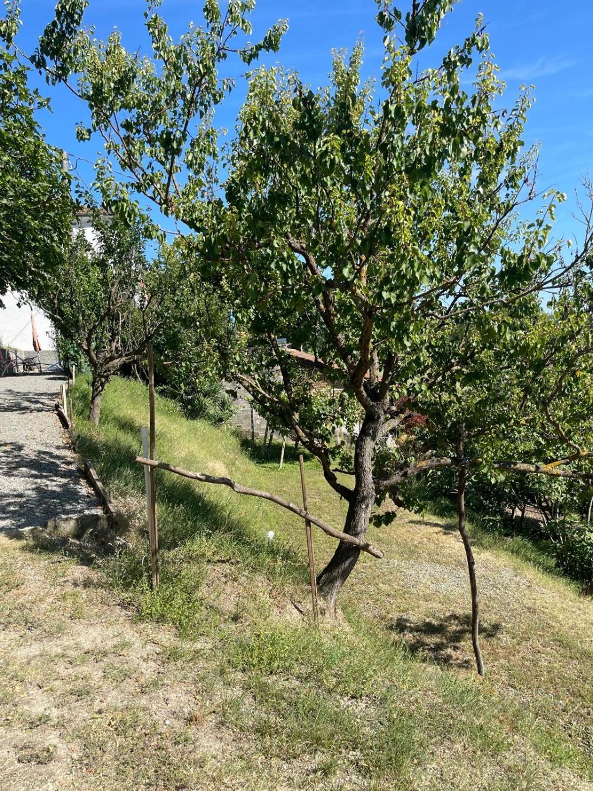 Casa Petra - Casa Tre Stelle - Casa Caneva - Ferien Fuer 6-14 Personen Ponti Exteriér fotografie